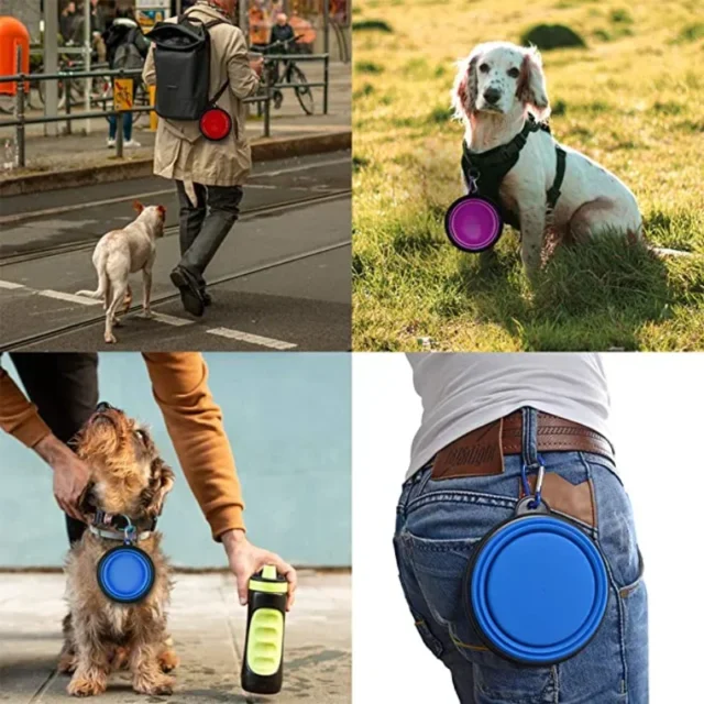 Collapsible Dog Bowls, Portable Foldable Dogs Cats Travel Water Food Bowls with Carabiner Clip for Walking, Traveling,Hiking - Image 6