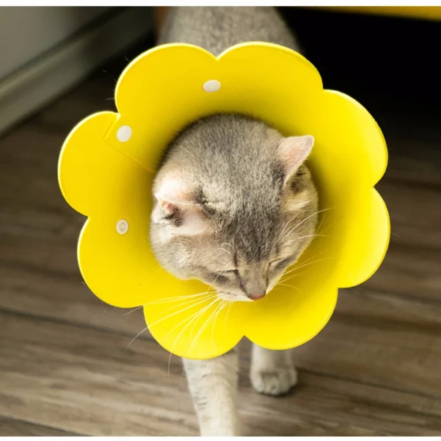 Flower Shaped Cat Recovery Collar Elizabethan Collar Wound Healing Protective Cone for Kitten Puppy Pet Protective Collar Neck - Image 2