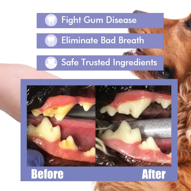 Pet Oral Care Spray Teeth Cleaning Pet Tooth Whitening Remove Bad Breath Keep Fresh Breath Remove Tooth Stains For Cats and Dogs - Image 2