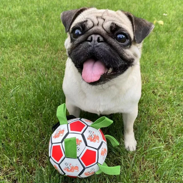 KOMMILIFE Interactive Football Toy For Dogs Outdoor Training Soccer Pet Dog Toys Dog Bite Chew Toy Medium Large Dog Ball Toys - Image 3