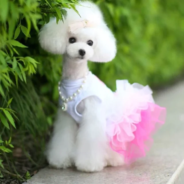 Summer Dogs Tutu Dress Lace Mesh Pet Clothes For Small Dog Colorful Sweet Puppy Wedding Dress Good Quality Dog Clothes - Image 2