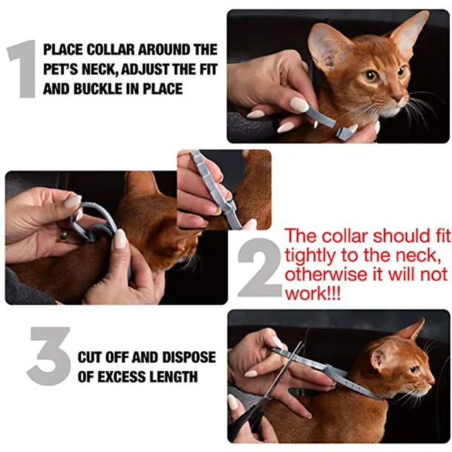 Pet Flea and Tick Collar for Dogs Cats Up To 8 Month Flea Tick Prevention Collar Anti-mosquito & Insect Repellent Puppy Supplies - Image 5