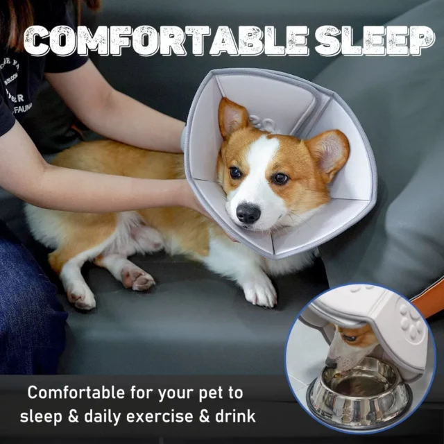 New Generation Cat Dog Cone Collar Adjustable Protective After Surgery Prevent Pets From Bite Licking Scratching Touching Wound - Image 3