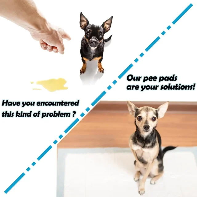 Rabbit Pee Pads, Super Absorbent Diaper, Pet Toilet/Potty Training Pads for Guinea Pigs/Hedgehog/Hamsters/Chinchillas/Cats/Dogs - Image 5