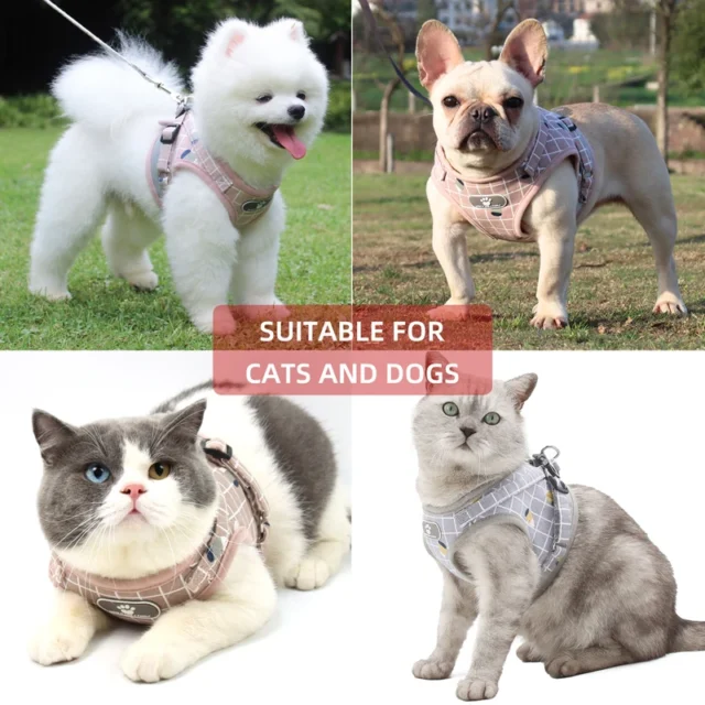 Reflective Dog Harness and Leash Set, Nylon Mesh, Kitten, Puppy, Dogs Vest, Harness Leads, Pet Clothes for Small Dogs, Yorkies - Image 5