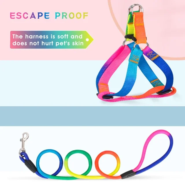 Benepaw Rainbow No Pull Dog Harness Leash Set Adjustable Safe Nylon Pet Vest Harnes For Outdoor Walking For Small Medium Dogs - Image 3