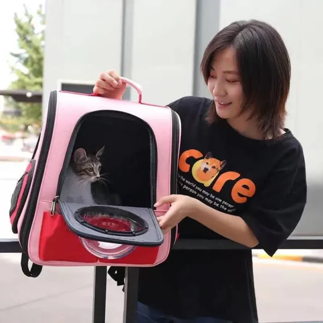 Foldable Astronaut Transport Travel Carrying Bag, Shoulder Handbag for Cat and Dog, Pet Carrier Backpack, High Quality - Image 3