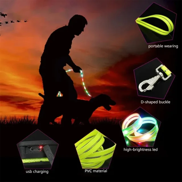 Led Light Up Dog Leash Walking Safety Glow in The Dark USB Rechargeable Adjustable for Large Medium Small Pet Lighted Dog Collar - Image 6