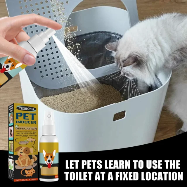 Dog Potty Training Spray Cats Kitten Outdoor Urine Poops Stool Location Helps Puppies Toilet Pet Positioning Defecation Inducer - Image 3