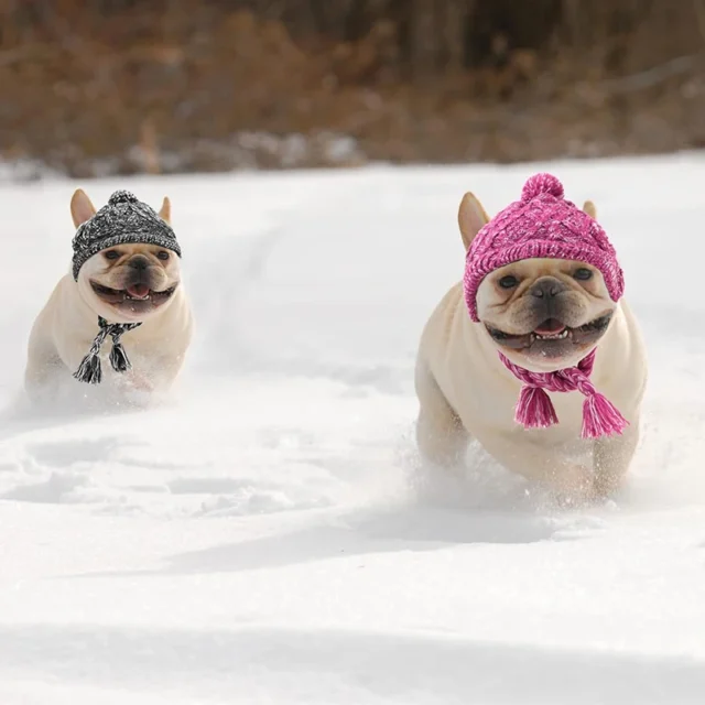 Warm Pet Dog Knitted Hat Winter Dog Knitting Cap with Ear Holes Puppy Headwear for Small Large Dogs Cat Hats French Bulldog Cap - Image 3