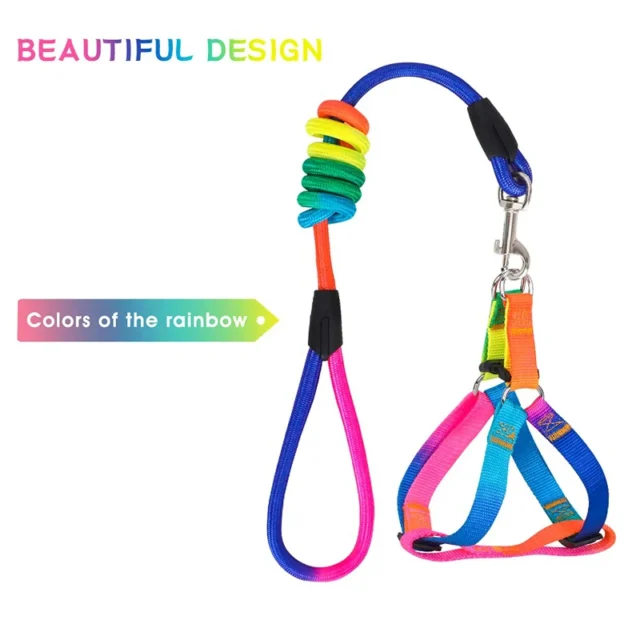 Benepaw Rainbow No Pull Dog Harness Leash Set Adjustable Safe Nylon Pet Vest Harnes For Outdoor Walking For Small Medium Dogs - Image 4