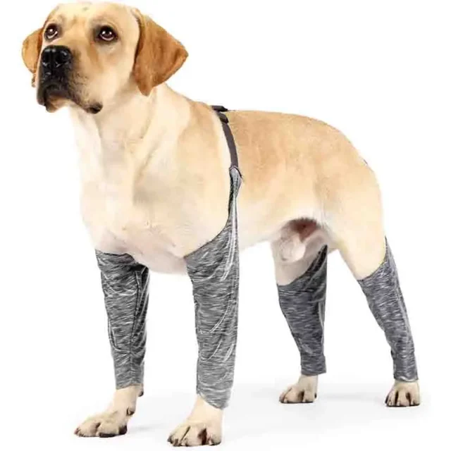 Adjustable Dog Leggings to Prevent Licking Pee Dog Recovery Sleeve Dog Sleeves for Wounds Front Back Legs Waterproof