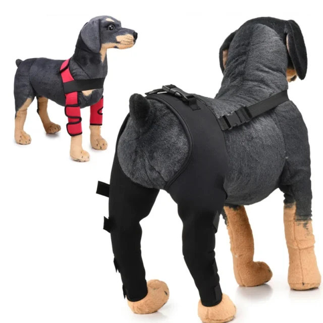 Breathable Knee Pads for Pet, Support Brace for Leg, Hock Joint Wrap, Injury Cover, Legs Dog Protector, Support Protect Bandage