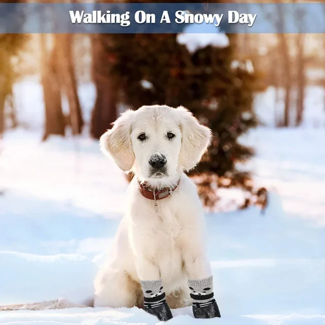 Dog Cat Boots Shoes Socks Waterproof Dog Shoes Rain Snow Pet Booties Anti-Slip Small Puppy Sock Shoes with Adjustable Drawstring - Image 4