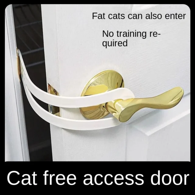 Cat in and out of the door artifact free entry and exit automatic door closed pet door file without perforated door - Image 2