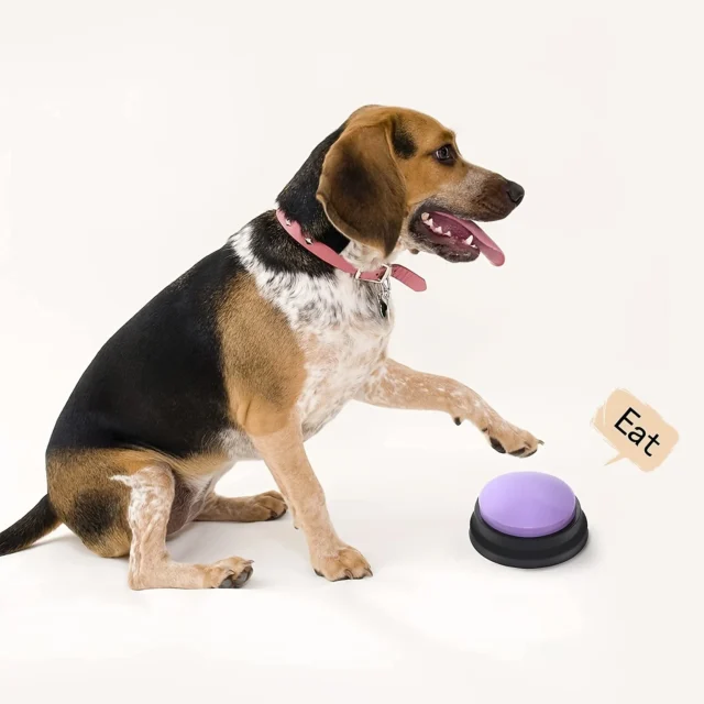 Dog Voice Recording Button Pet Communication Training Buzzer Teach Dog To Talk Recordable Talking Button Intelligence Pet Toy - Image 3