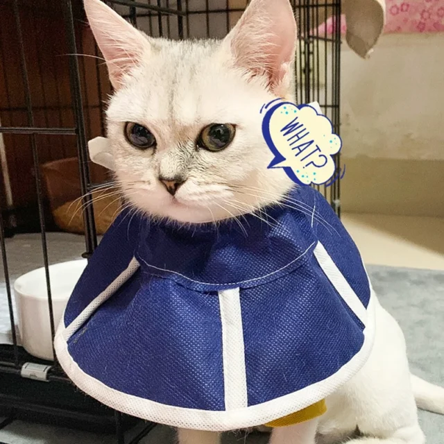 Cat Dog Anti-Bite Lick Surgery Wound Healing Cat Dogs Health Medical Circle Pet Protective Collar Dog Neck Cone Recovery Collar - Image 5