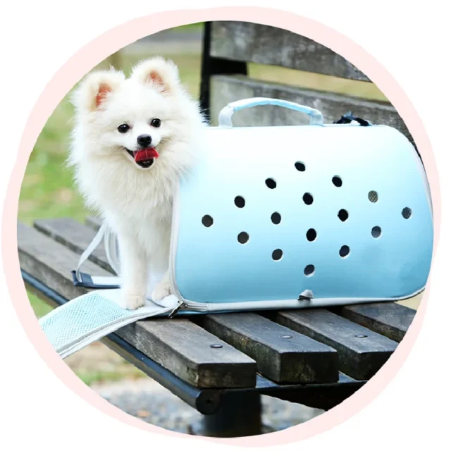 Breathable Cat Carrier Bags Durable Space Baggo Carrying Travel Capsule Cage Portable Bag Pet Supplies - Image 3