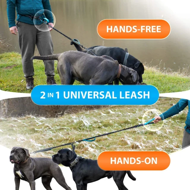 Benepaw Strong Hands Free Double Dog Leash Reflective Comfortable No Tangle Padded Handle Dual Pet Lead For Medium Large Dogs - Image 5