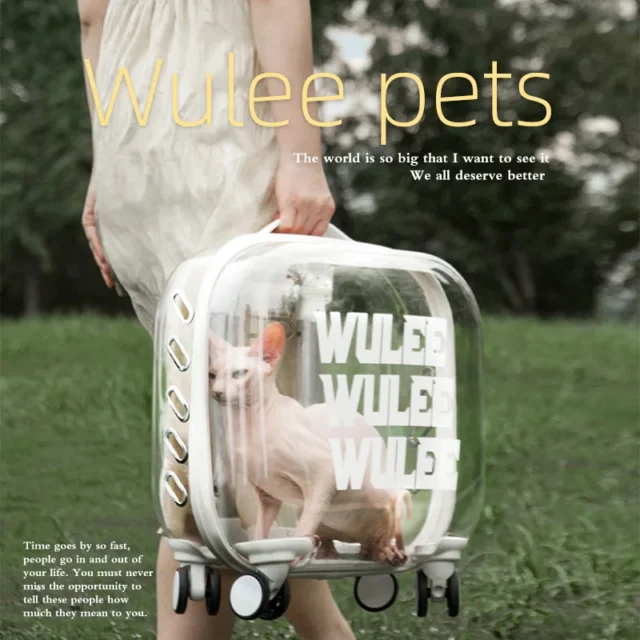 Transparent Capsule Pet Travel Trolley for Puppies Dogs Cat Carriers Bag with Trolleys Wheel - Image 4