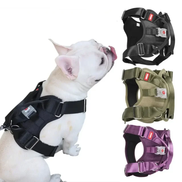 Adjustable Harness with LED Light for Pet Dog, Chest Straps, Tactical Military Service Vest, Big Dog, Labrador, 2023