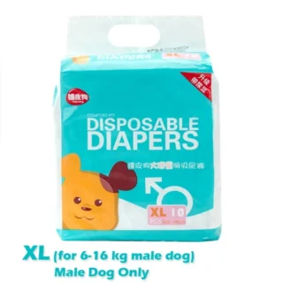 XL male dog only