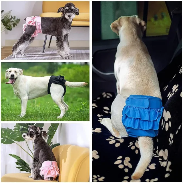 Dog Panties Diapers Female Dogs Physiological Pant Highly Absorbent Dog Period Underwear Reusable Washable Dog Menstrual Pants - Image 5