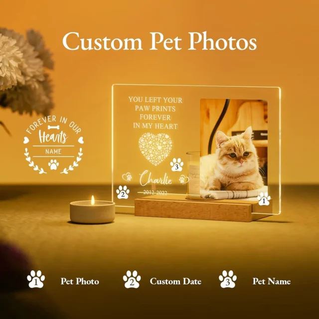 Personalized Custom Pet Photo Frame 3D Acrylic Lamp Customized Dog Cat Memorial Photo Frame Pet Sympathy Gifts LED Night Light - Image 2