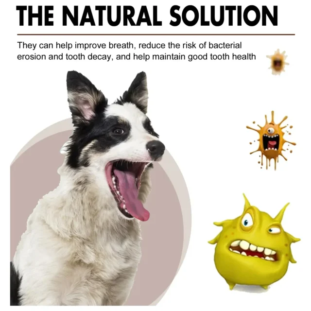 Pet Tooth Cleaning Spray Dogs Remove Bad Breath Freshener Cats Oral Cleaning Dental Care Deodorization Spray Pet Supplies 30ml - Image 9