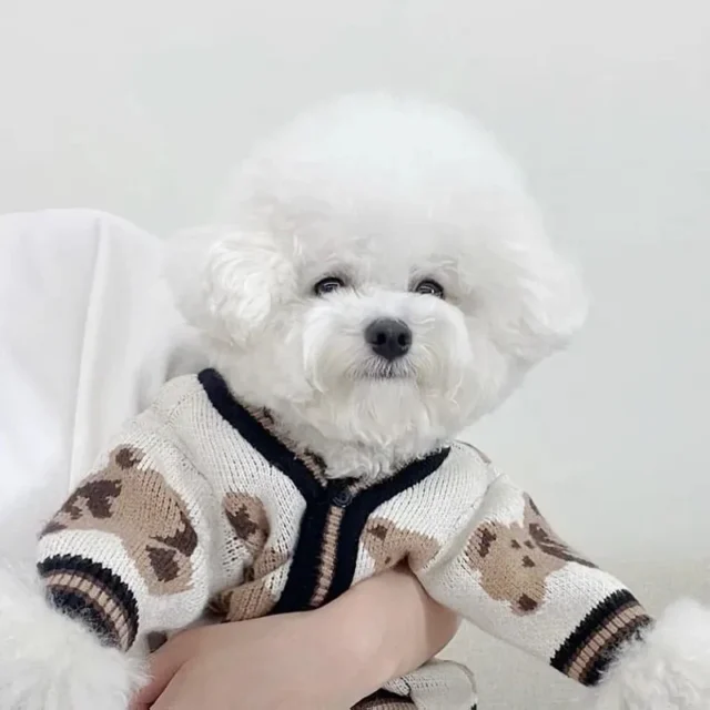 Luxury Dog Clothes Chihuahua Pet Striped Cardigan Sweater Bichon Frise Puppy Kitten Dog Warm Coat Cat Dog Accessories Pet Outfit - Image 3