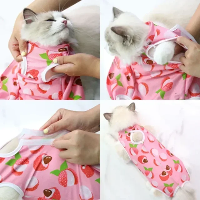 Cat Anti-licking Sterilization Clothes Pet Surgery Suit for Small Dog Cat Weaning Breathable Cat Anti-scratch Care Clothes - Image 3