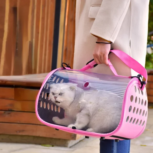 Cat Space Capsule Transparent Cats Carrier Bag Breathable Pet Carriers Small Dog Backpack Travel Cage Handbag for Kitten