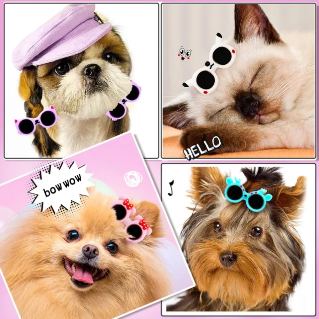 20Pcs Pet Hair Clips Cute Dog Glasses Cute Animals Shape Puppy Hairpin for Small Dogs Products Pets Hair Grooming Accessories - Image 6