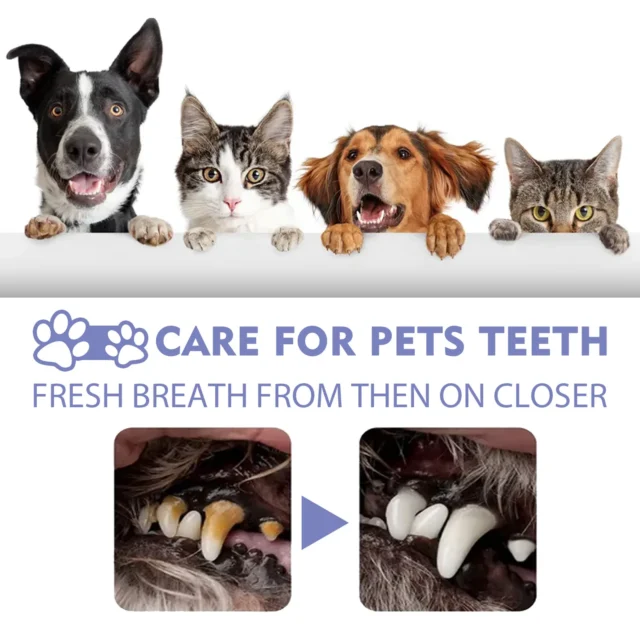 Pet Oral Care Spray Teeth Cleaning Pet Tooth Whitening Remove Bad Breath Keep Fresh Breath Remove Tooth Stains For Cats and Dogs - Image 3