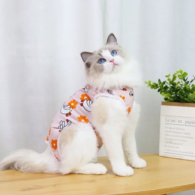 Cat Weaning Sterilization Suit Small Dog Cats Jumpsuit Anti-lick Recovery Clothing After Surgery Cute Print Pet Care Clothes - Image 4