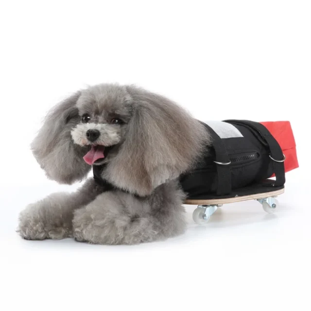 Moving Smoothly Helpful Wheelchair, Dog Aid Vehicle Pulley, Compact Pet Disabled Scooter, Sturdy for Outdoor - Image 5