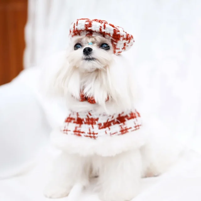 Dog Christmas Cloak Dog Plaid Coat Pet Cloak Pet Plush Cloak Dog Cape Cat Strap Traction Rope Designer Dog Clothes Pet Clothes - Image 6