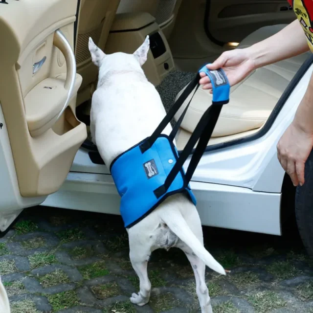 Portable Dog Sling For Back Legs Hip Support Harness to Help Lift Dogs Rear For Canine Aid and Old Dog Ligament Rehabilitation - Image 3