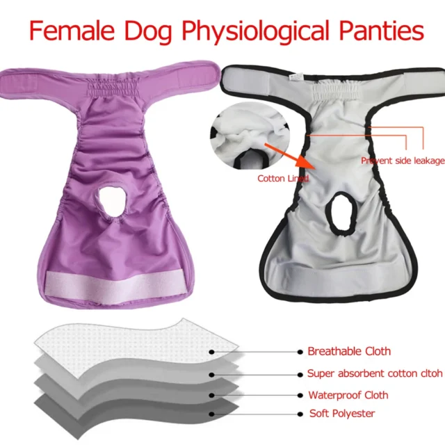 Female Dog Diapers Washable Pet Underwear for Girl Puppies Large Dogs Panties Sanitary Physiological Pants for Dogs Pet Supplies - Image 3