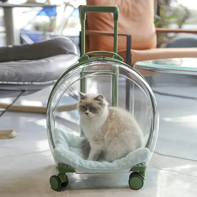 Pet Trolley Box Portable Dog Cat Outing Bag Transparent Pet Backpack Checked Airline Cat Bag, Cat Accessories Outing Cat Bag - Image 2