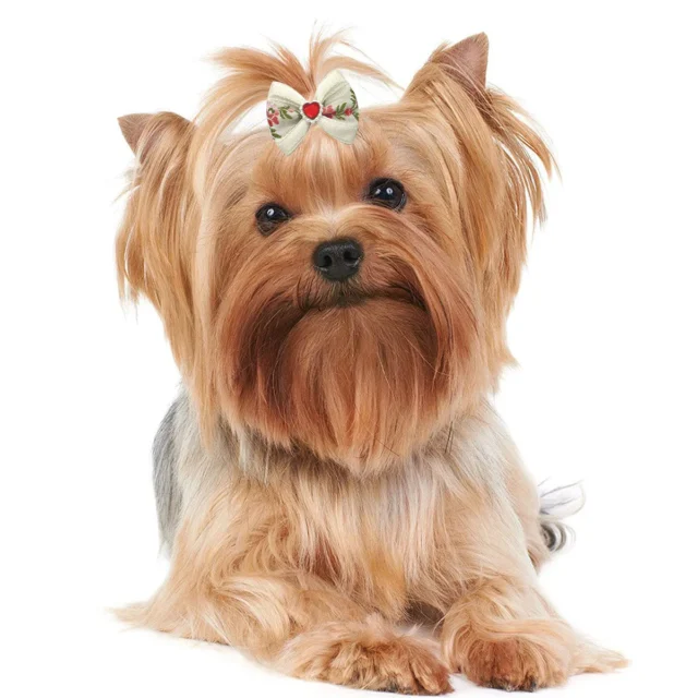 100pcs Cute Dog Hair Bows Dog Topknot Multicoloured Puppy Hair Bows Bright Flower Peals Pet Headwear Grooming Products - Image 6