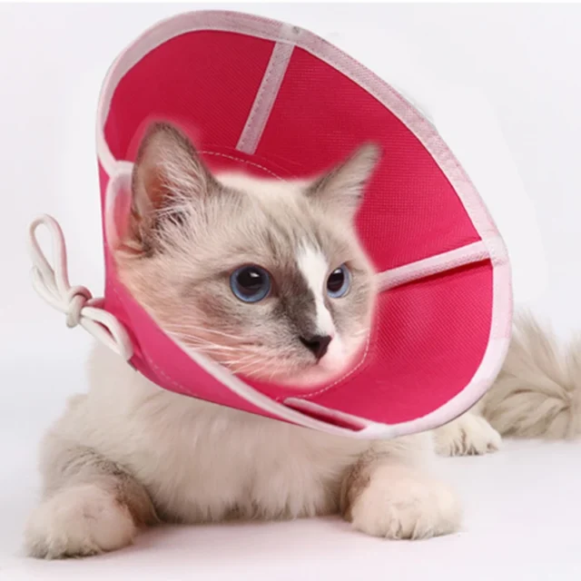 Cat Dog Anti-Bite Lick Surgery Wound Healing Cat Dogs Health Medical Circle Pet Protective Collar Dog Neck Cone Recovery Collar