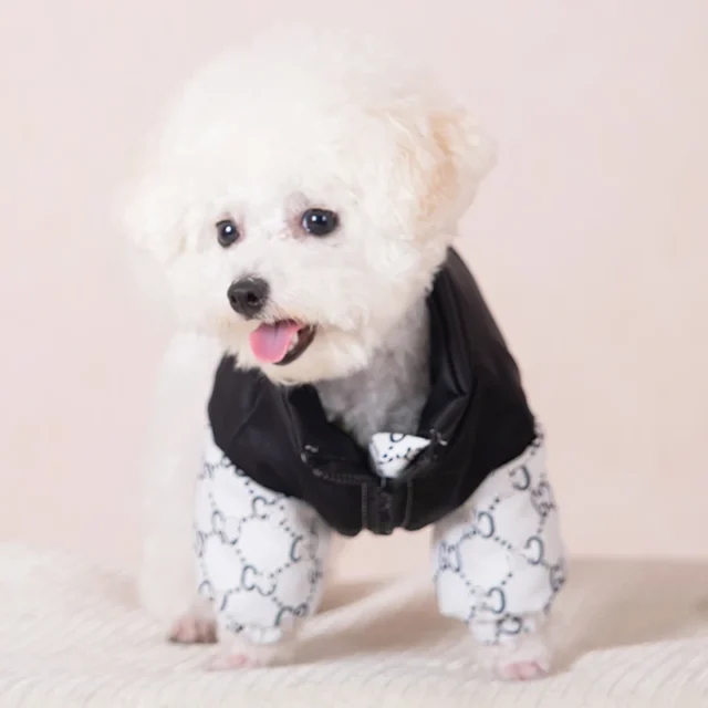 Dog Clothes Luxury Designer Pet Winter Coat Autumn Winter For French Bulldog Puppy Small Medium Dogs fashion - Image 2