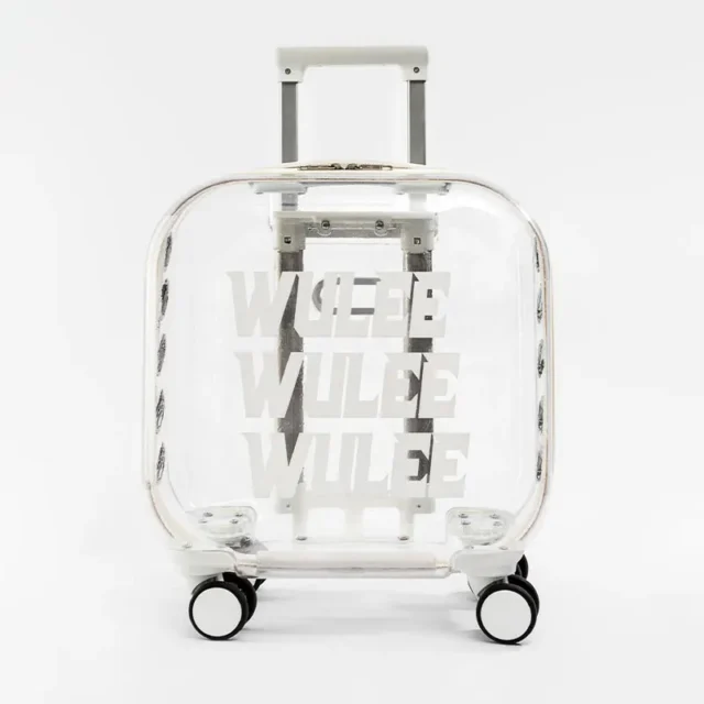 Transparent Capsule Pet Travel Trolley for Puppies Dogs Cat Carriers Bag with Trolleys Wheel - Image 2