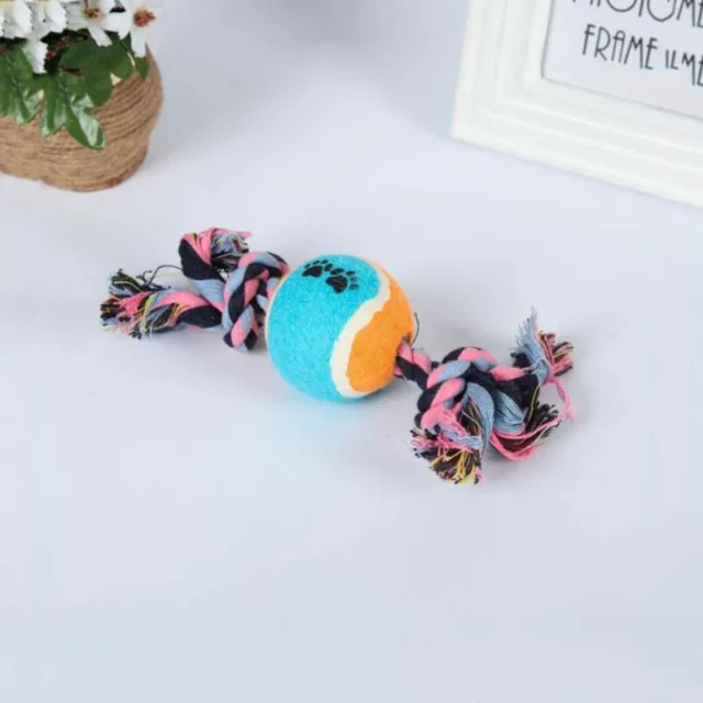 Pet Tooth Cleaning Cat and Dog Toy with Tennis Double Knot Pet Training Toy 1Pcs - Image 5