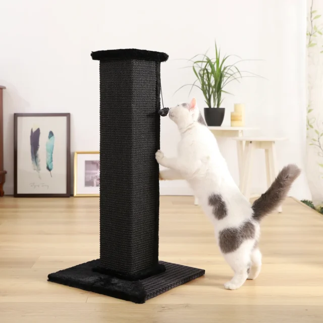 H82cm Pet Cat Tree Scratching Post for Indoor Plush Top Perch Stable Durable with Ball Black Natural Sisal Protecting Furniture - Image 5