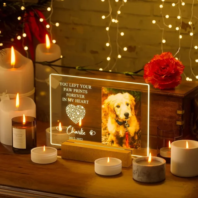 Personalized Custom Pet Photo Frame 3D Acrylic Lamp Customized Dog Cat Memorial Photo Frame Pet Sympathy Gifts LED Night Light - Image 3