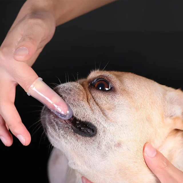 Dog Toothbrush Pet Fingertip Toothbrush for Cat Super Soft Oral Care Toothbrushes Finger Brush for All Pets Tooth Cleaning Brush - Image 3