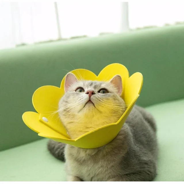 Flower Shaped Cat Recovery Collar Elizabethan Collar Wound Healing Protective Cone for Kitten Puppy Pet Protective Collar Neck - Image 5