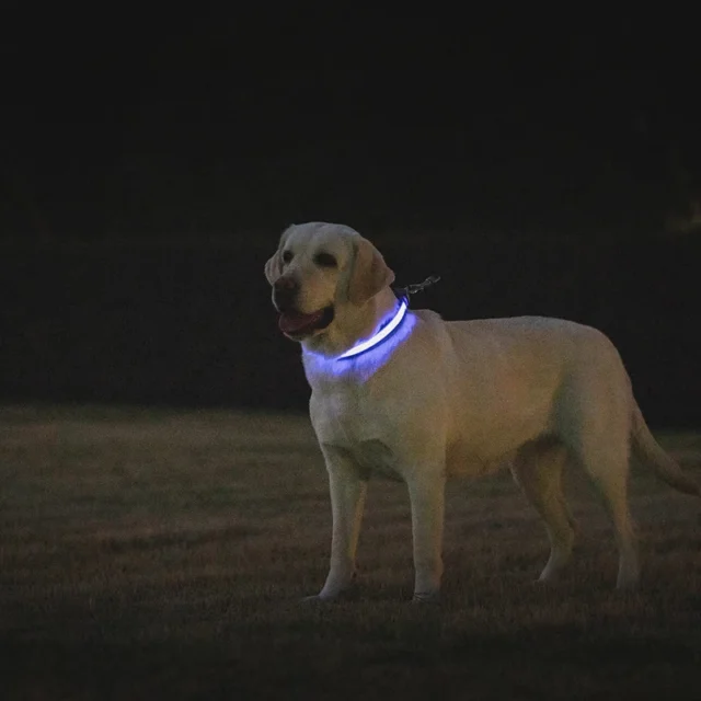 Benepaw LED Dog Collar USB Rechargeable Comfortable Reflective Bright Light Up Glow Collars For Small Medium Large Dogs - Image 3